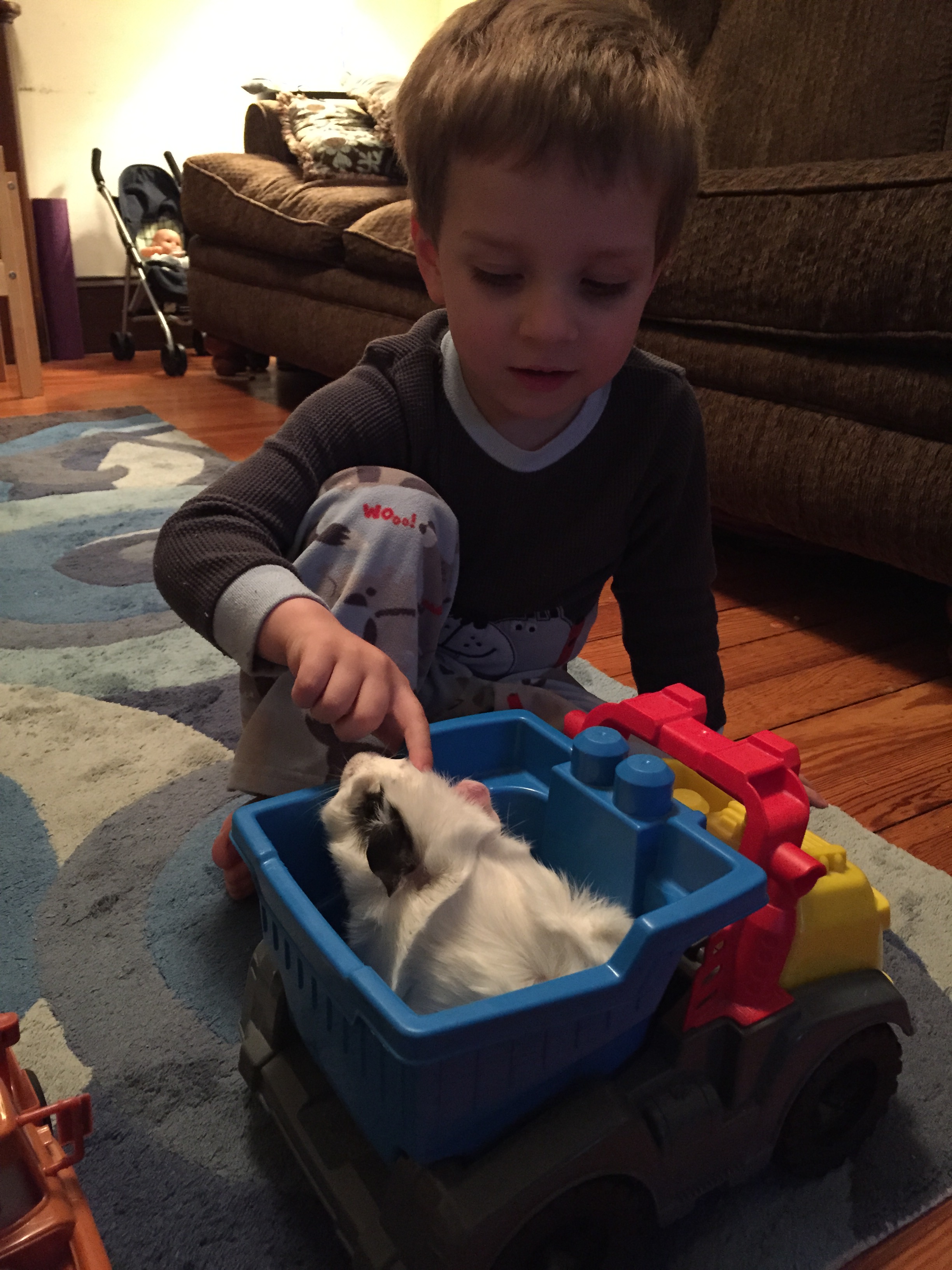 2015-06-02 19.57.29.jpg