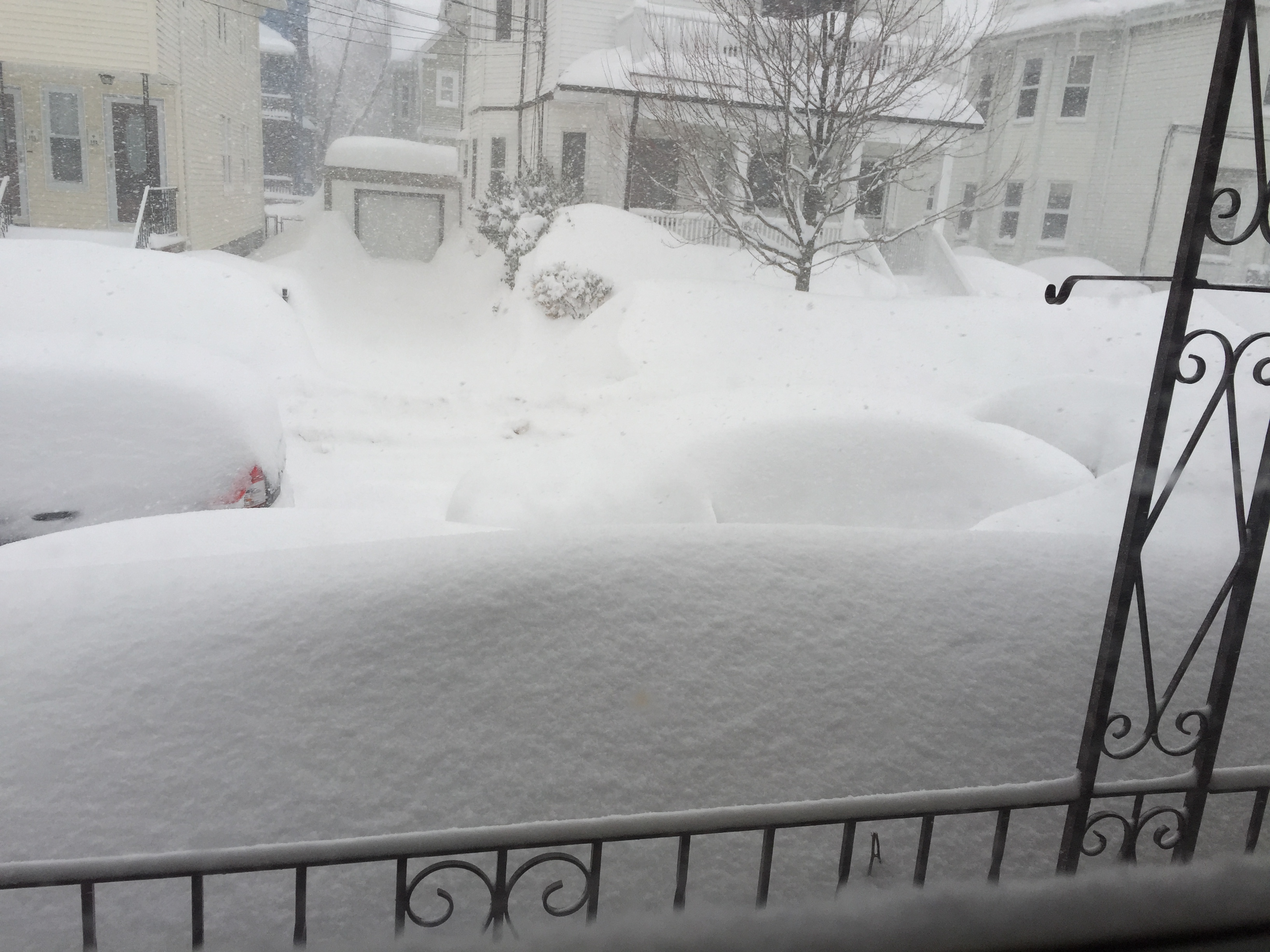 2015-02-15 07.54.52.jpg