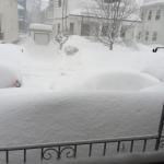 2015-02-15 07.54.52.jpg