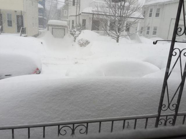 2015-02-15 07.54.52.jpg