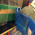 2015-03-21 12.10.23.jpg