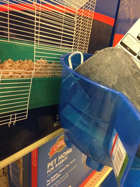 2015-03-21 12.10.23.jpg