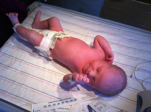 2014-01-24 11.29.29.jpg