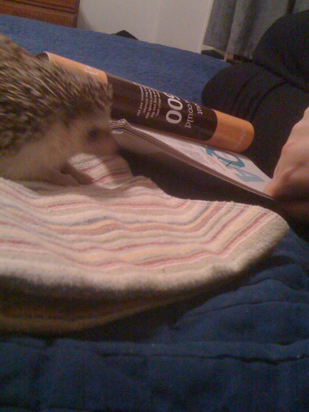 2010-08-15 21.44.40.jpg