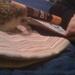 2010-08-15 21.44.40.jpg