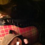 2011-12-25 19.55.29.jpg