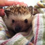 2011-05-22 21.46.30.jpg