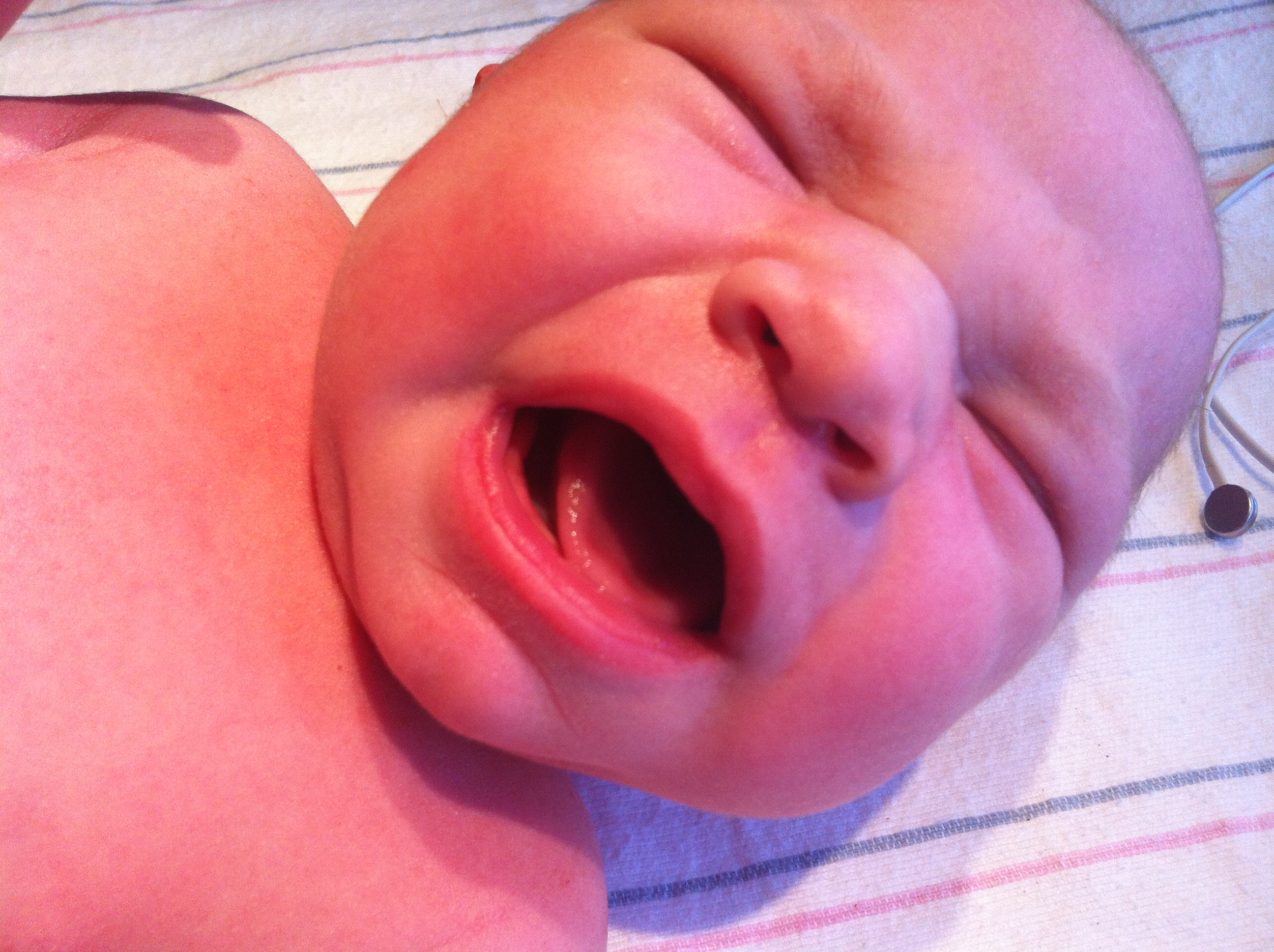 2014-01-24 11.30.36.jpg