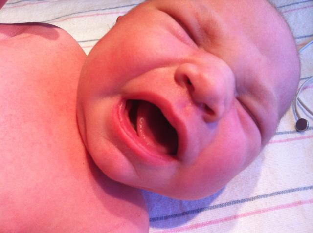 2014-01-24 11.30.36.jpg