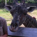 2012-09-02 11.04.25.jpg