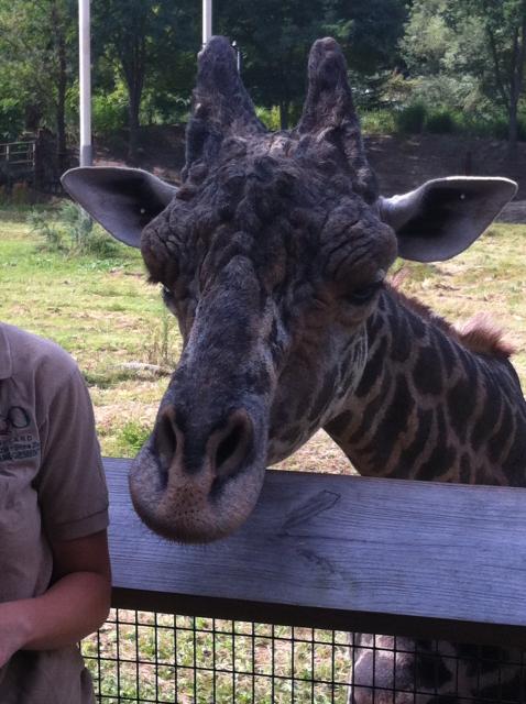 2012-09-02 11.04.25.jpg