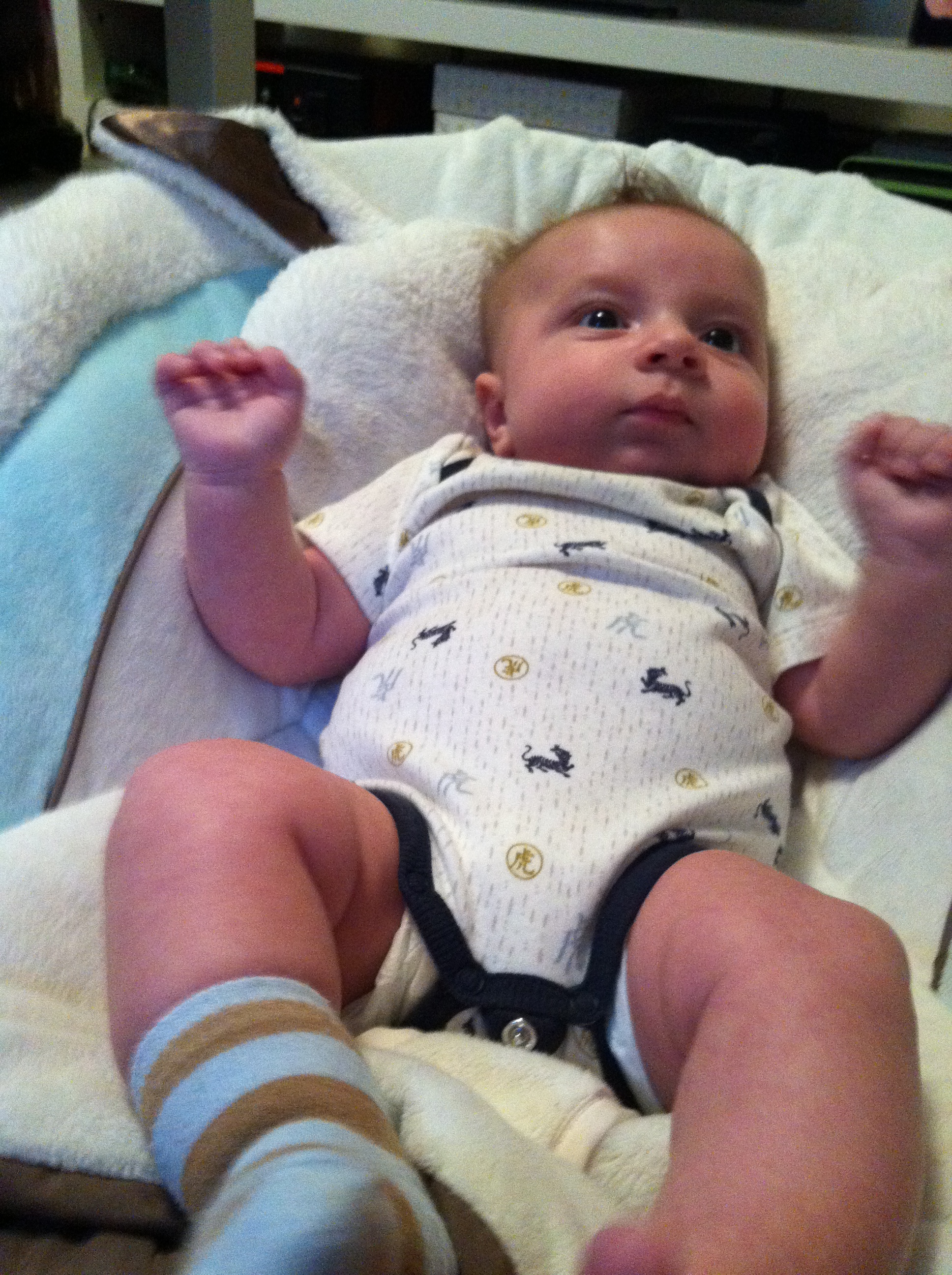 2011-11-28 07.58.39.jpg