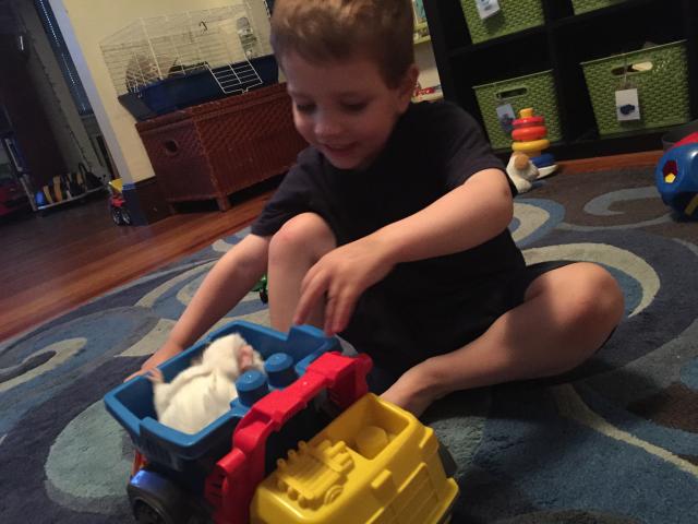 2015-06-09 19.09.15.jpg