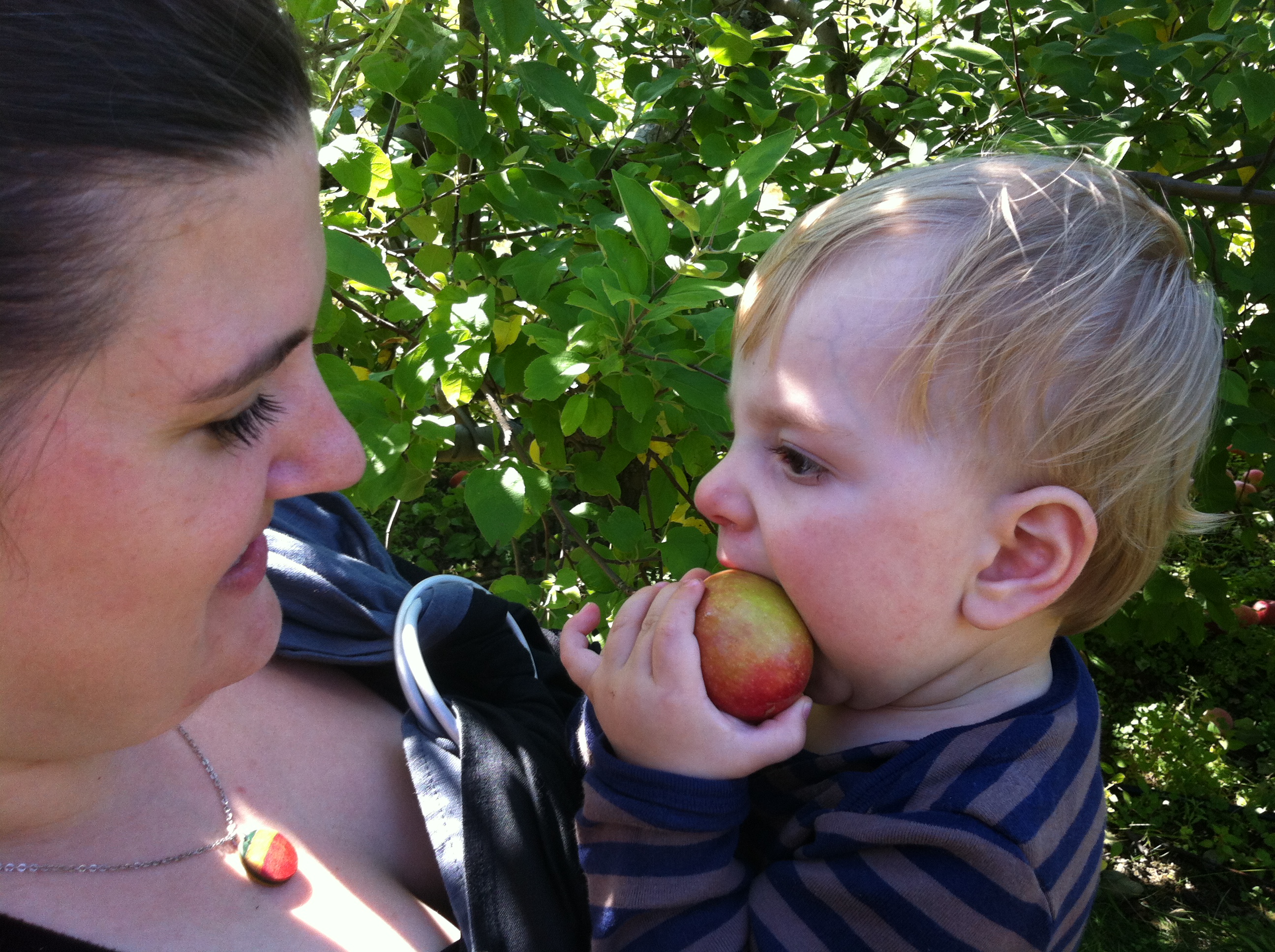 2012-09-22 14.06.51.jpg