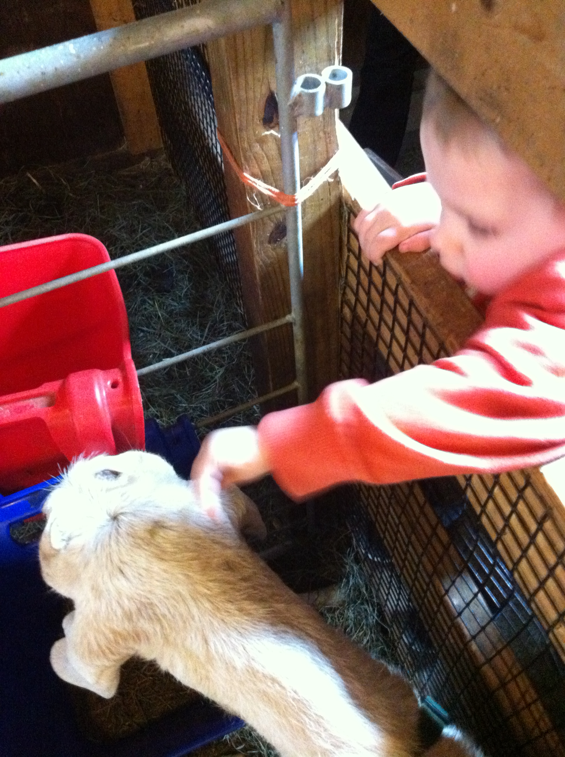 2014-03-29 11.36.09.jpg