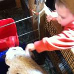 2014-03-29 11.36.09.jpg