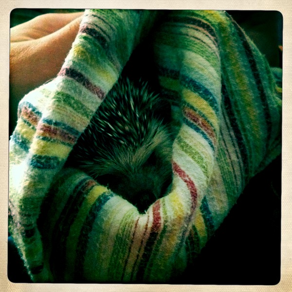 2010-12-06 22.45.28.jpg