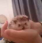 2010-11-25 13.00.38.jpg