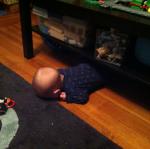 2014-07-16 07.02.13.jpg