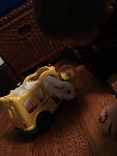 2015-06-01 19.19.43.jpg