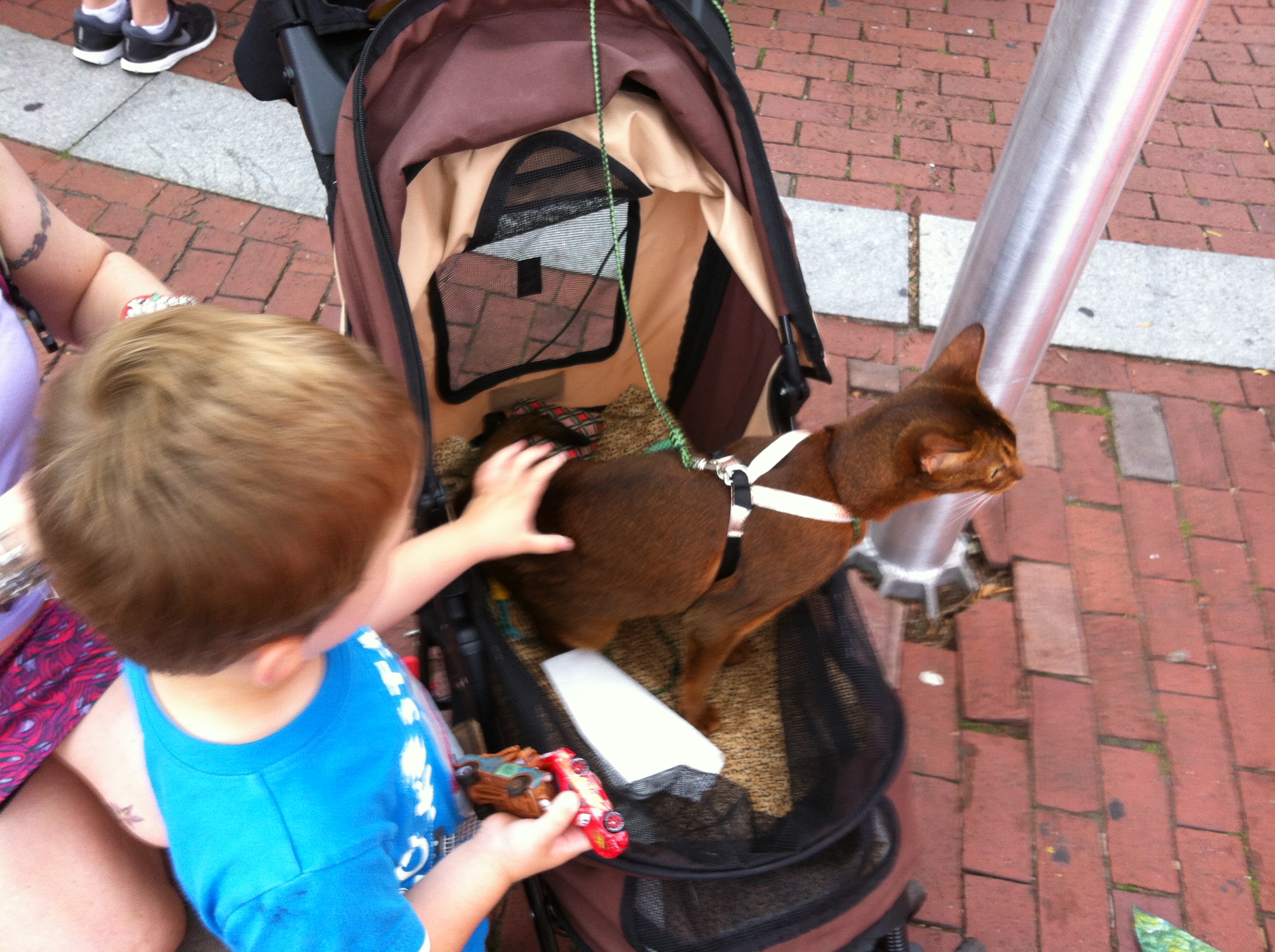 2014-07-19 17.44.57.jpg