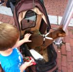 2014-07-19 17.44.57.jpg