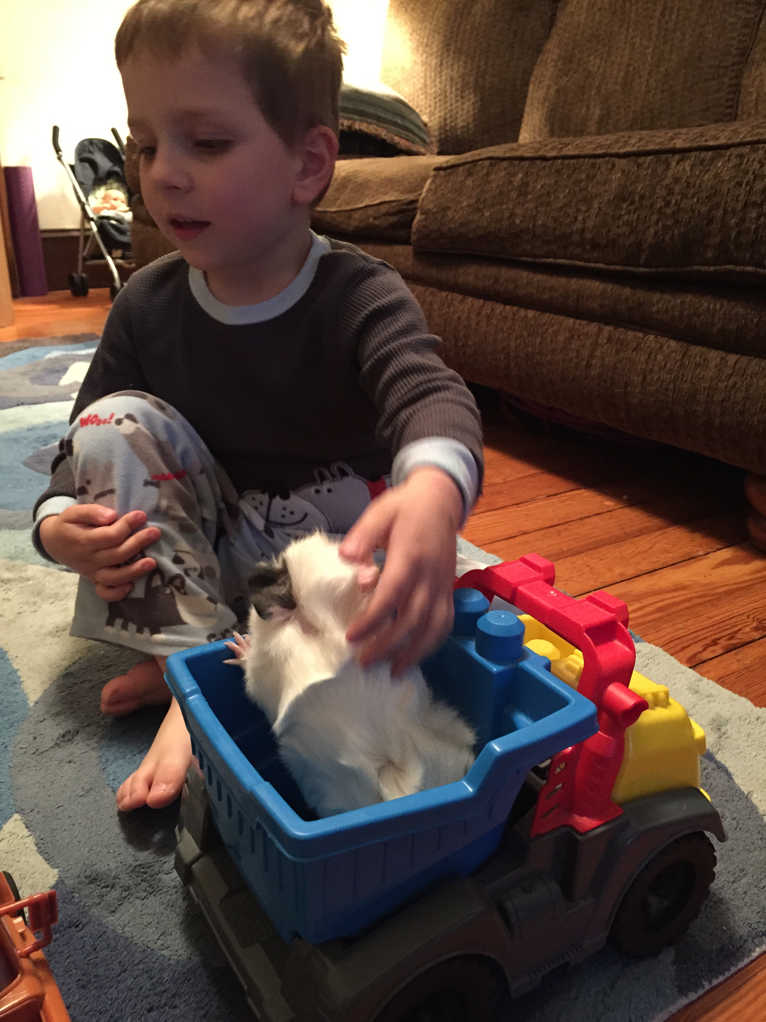 2015-06-02 19.57.52.jpg