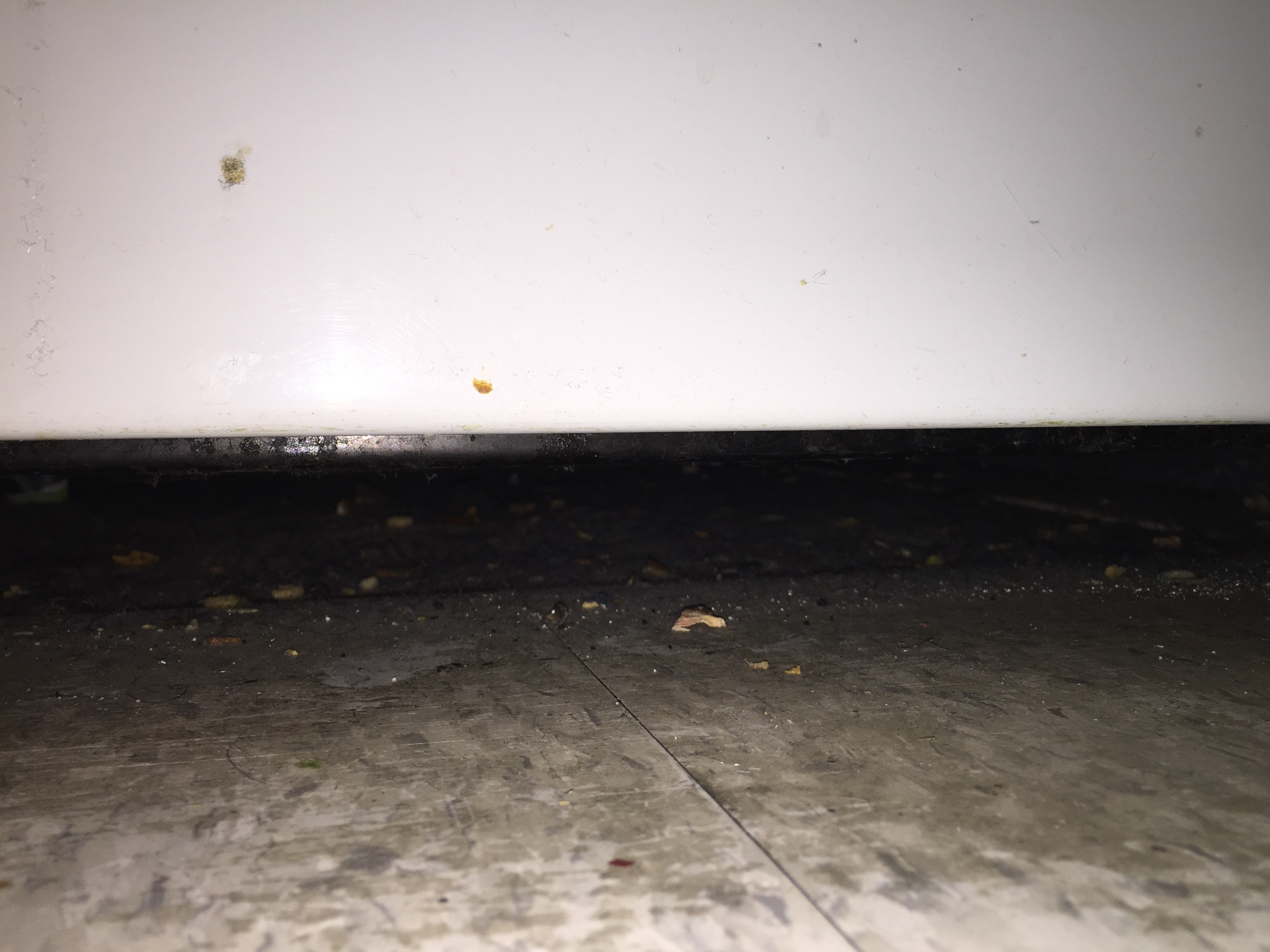 2015-03-11 23.05.08.jpg