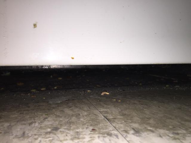 2015-03-11 23.05.08.jpg