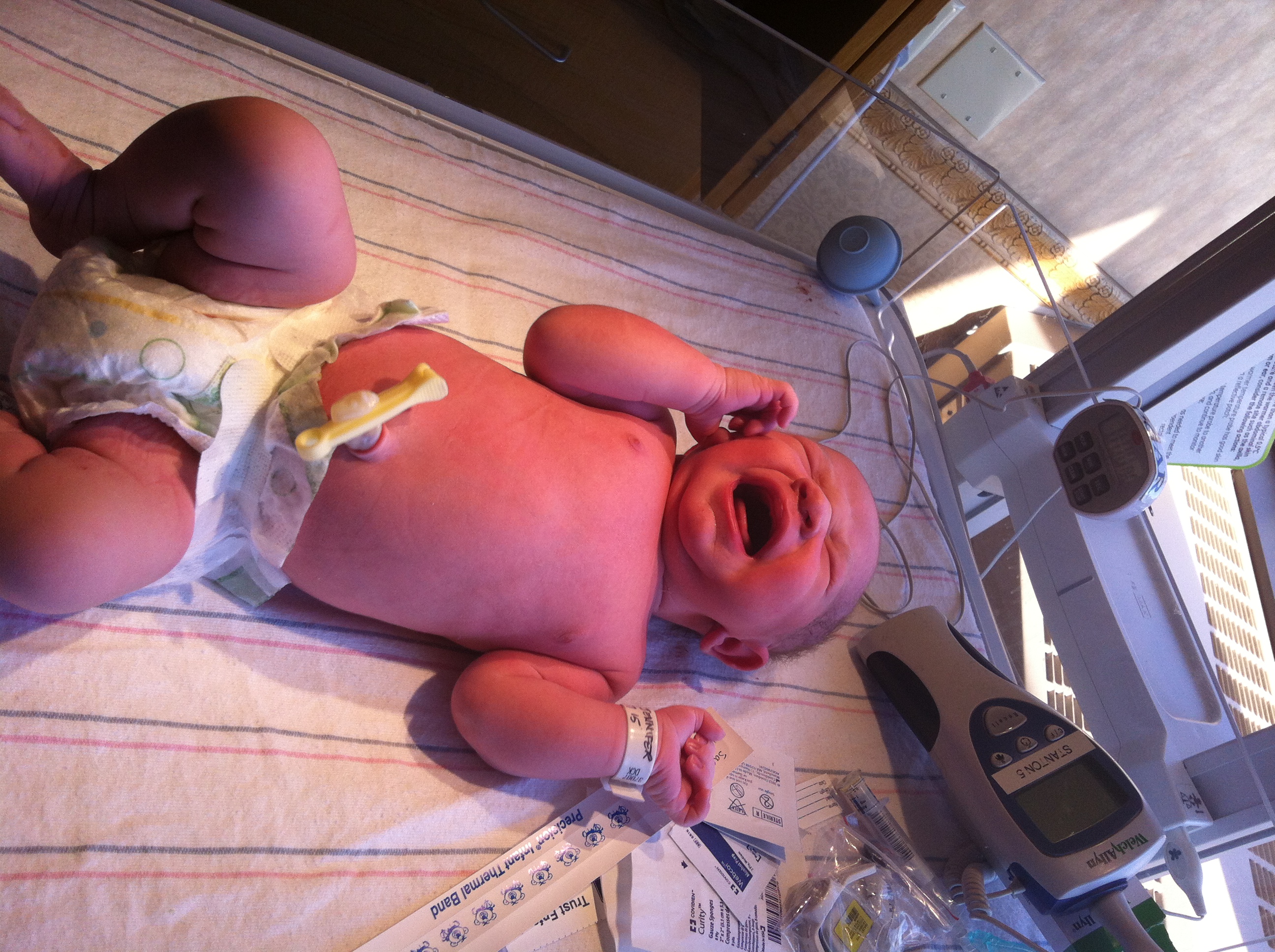 2014-01-24 11.29.32.jpg