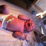 2014-01-24 11.29.32.jpg