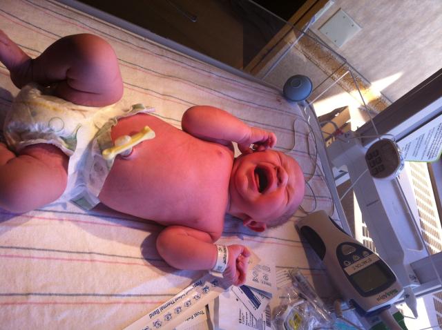 2014-01-24 11.29.32.jpg