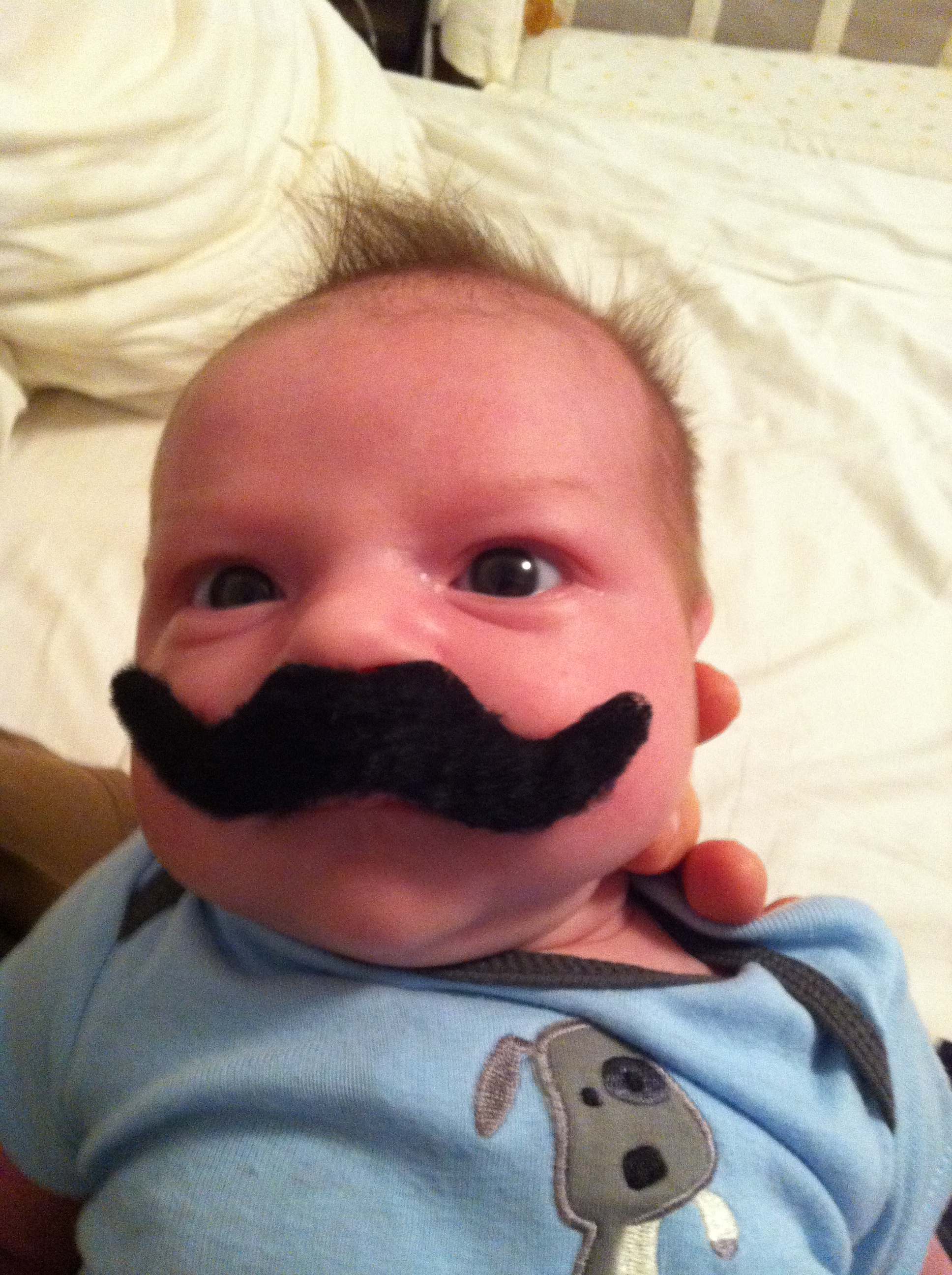 2011-10-10 14.44.27.jpg