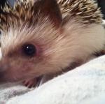 2010-11-04 21.26.34.jpg