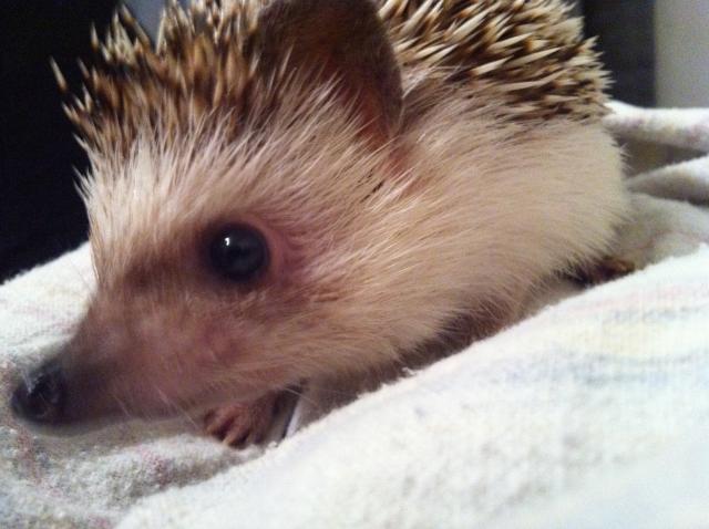 2010-11-04 21.26.34.jpg