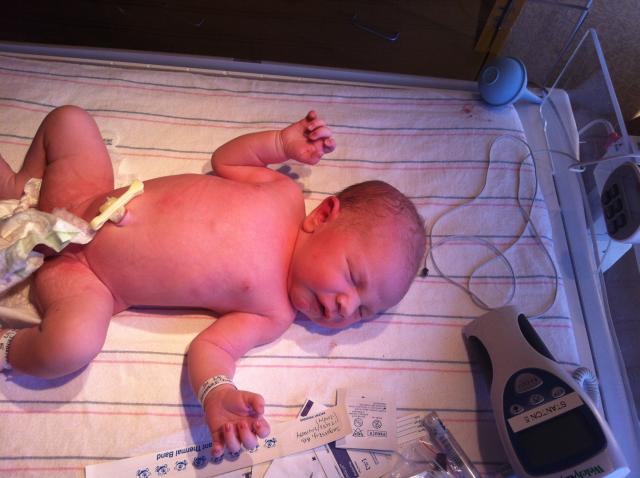 2014-01-24 11.31.19.jpg