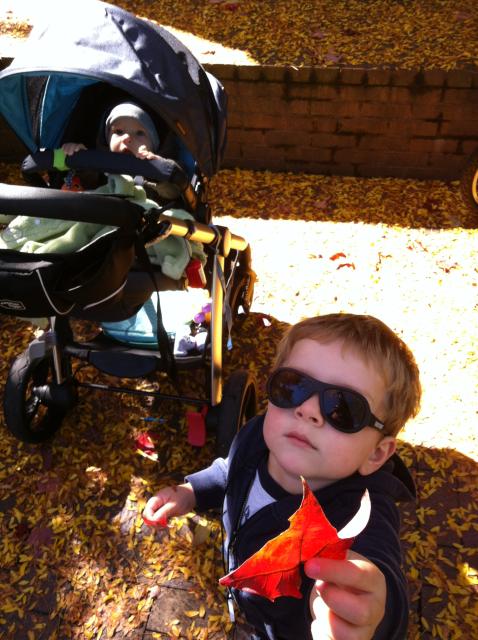 2014-10-05 11.04.58.jpg