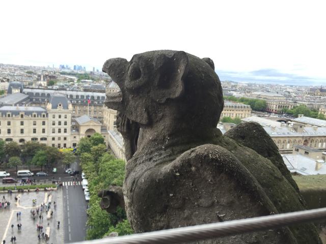 2015-05-03 14.44.34.jpg