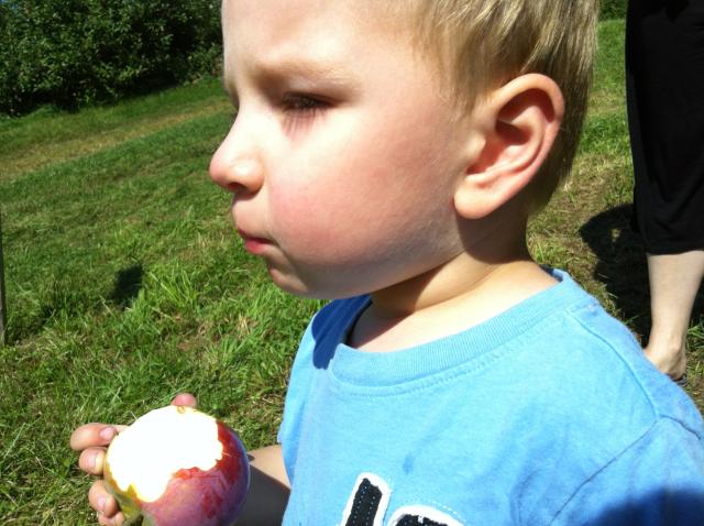 2013-09-07 11.14.33.jpg