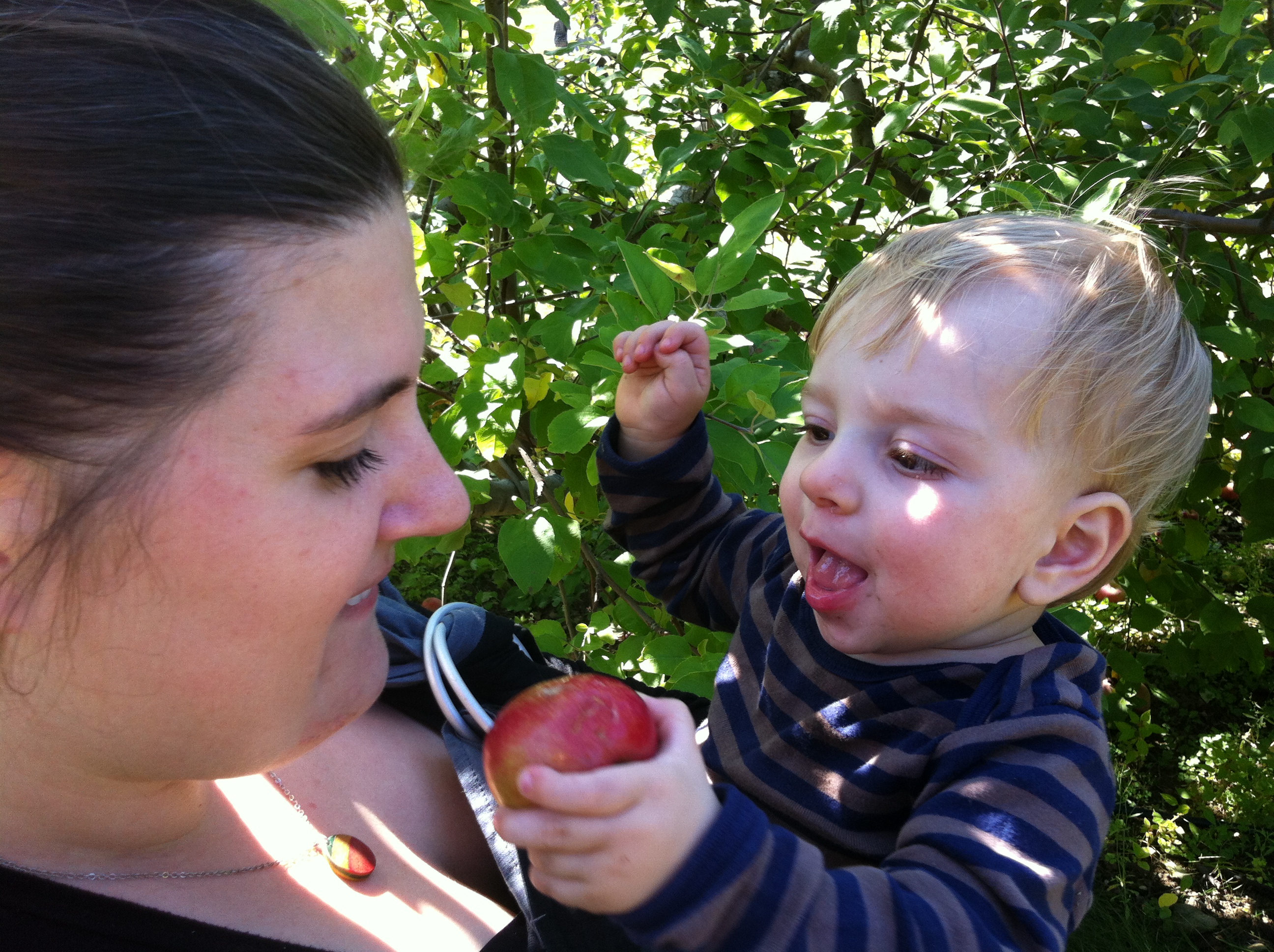 2012-09-22 14.06.40.jpg