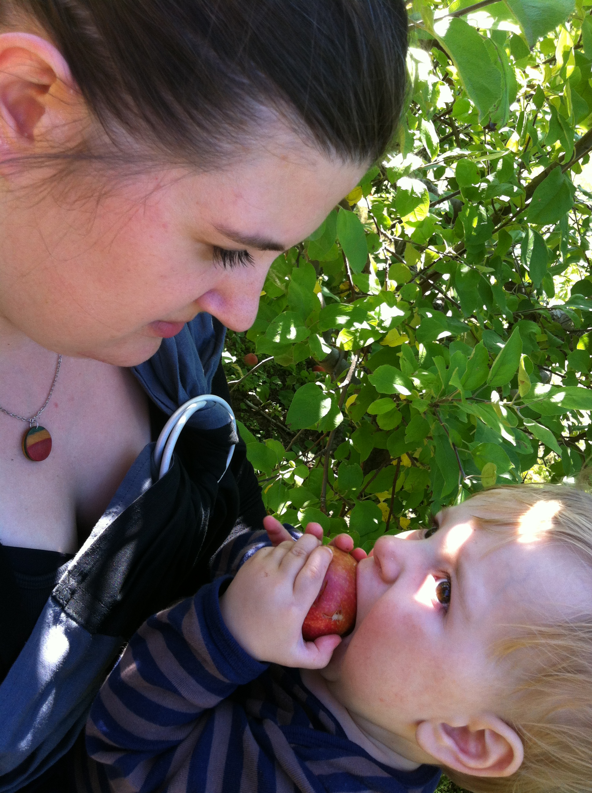 2012-09-22 14.07.13.jpg