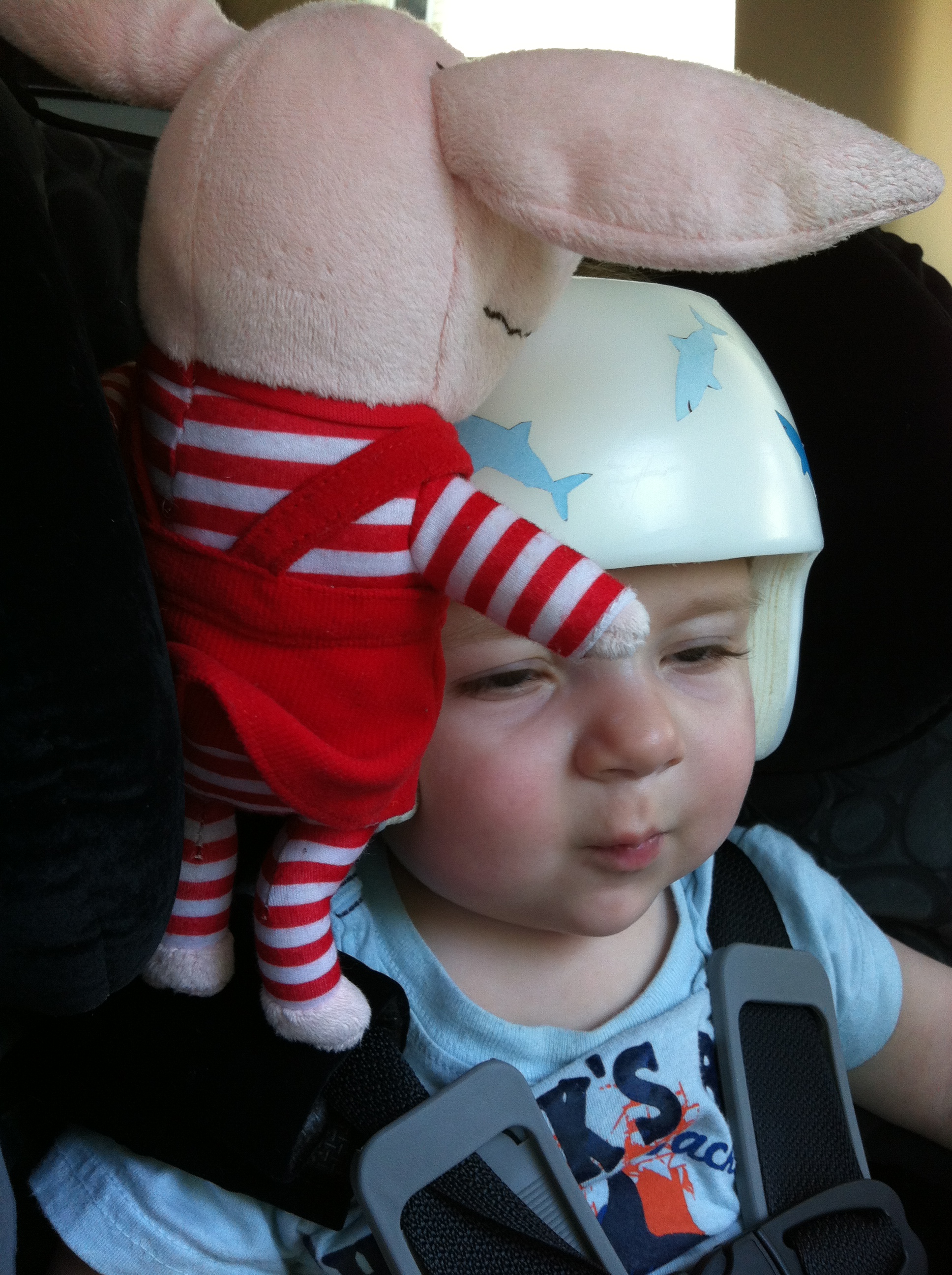 2012-05-28 13.40.48.jpg