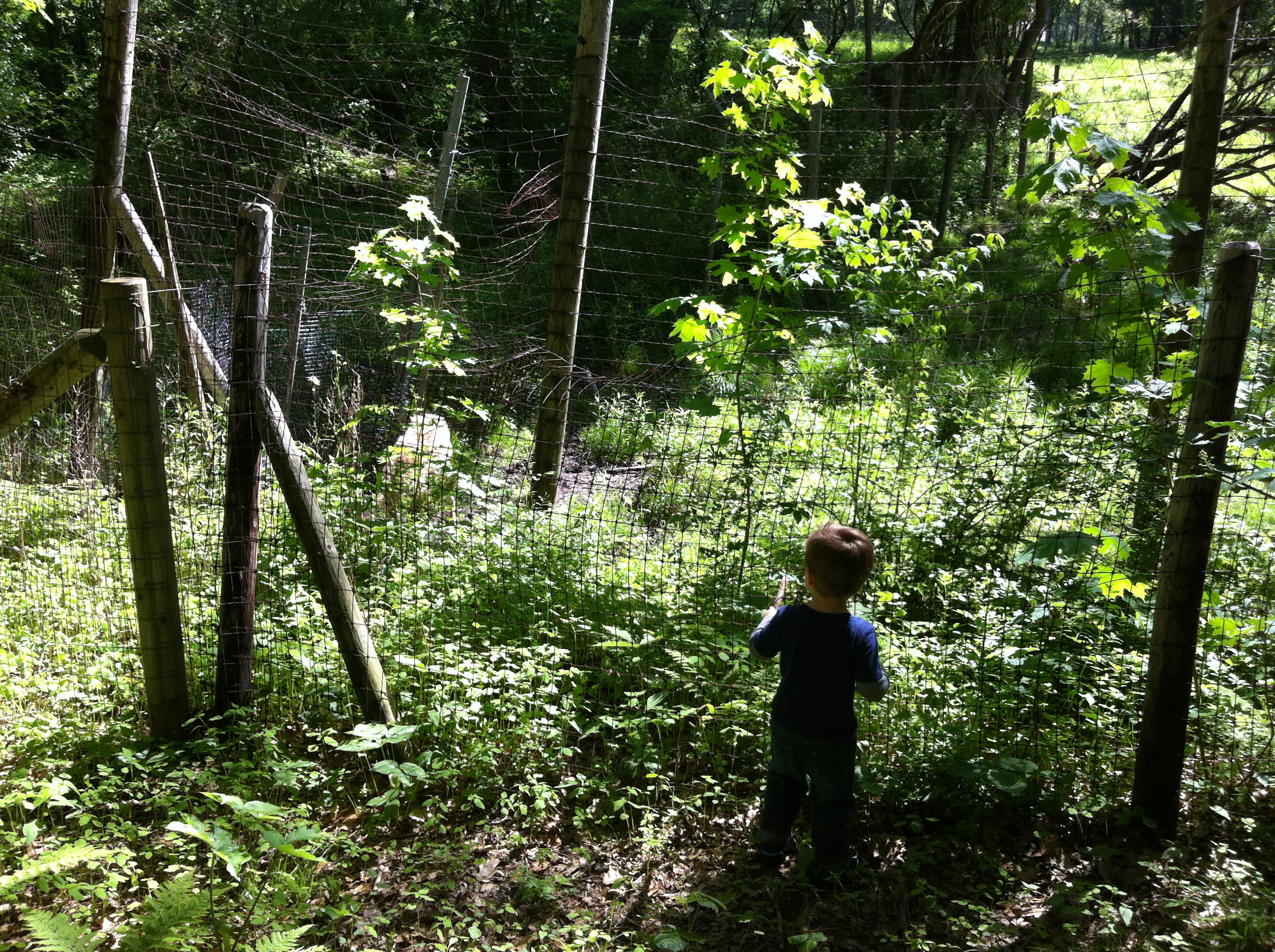 2014-06-01 09.47.57.jpg