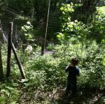 2014-06-01 09.47.57.jpg