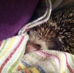 2011-07-08 19.41.22.jpg