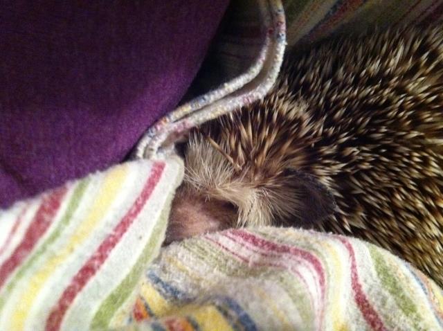 2011-07-08 19.41.22.jpg