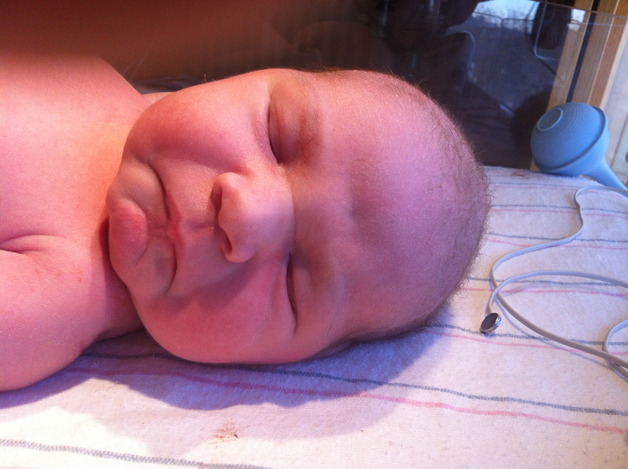 2014-01-24 11.30.59.jpg