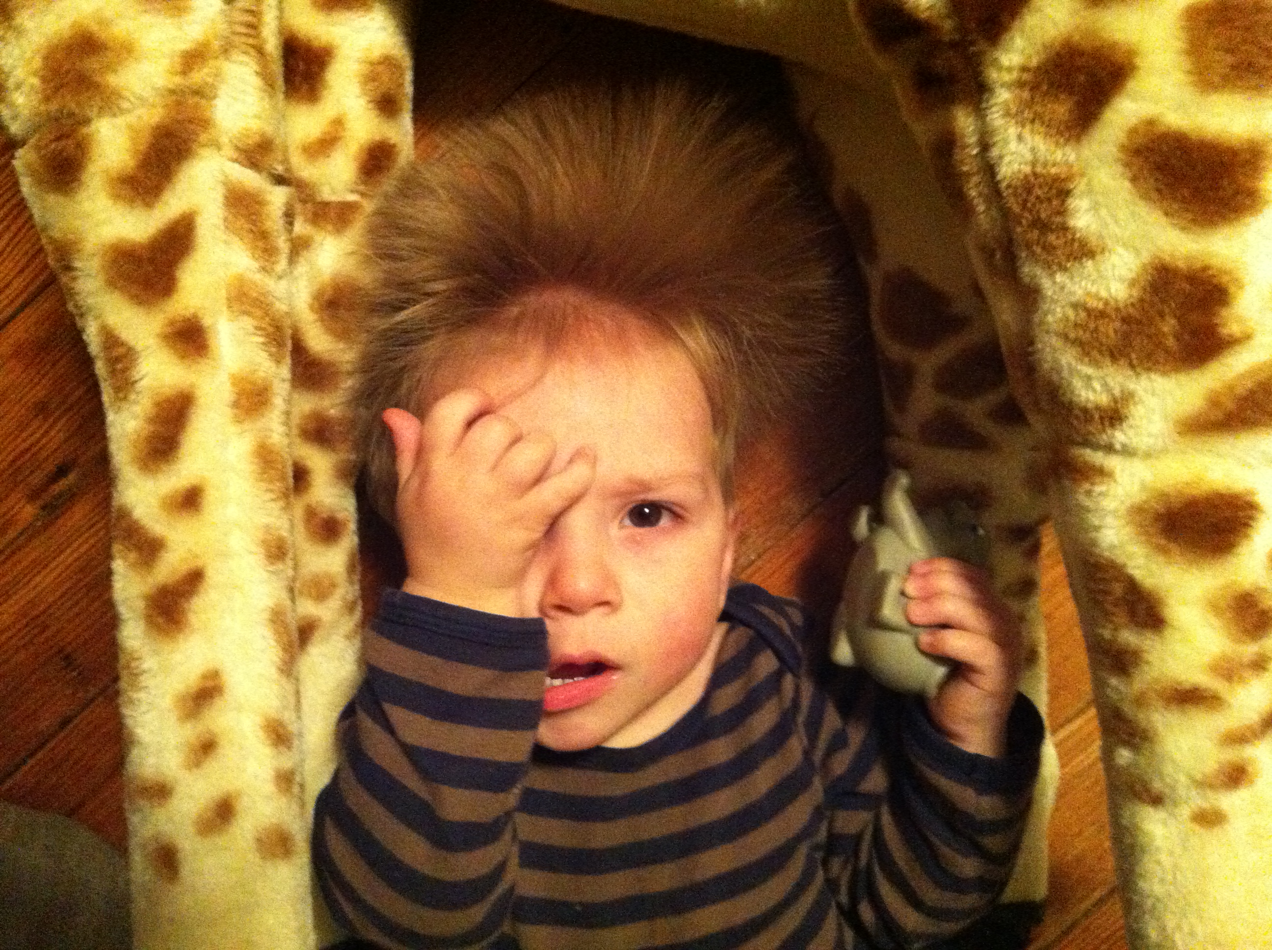 2013-03-15 19.58.44.jpg