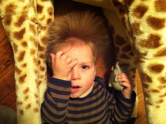 2013-03-15 19.58.44.jpg