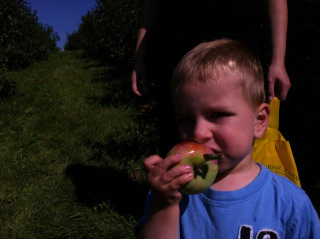 2013-09-07 11.12.41.jpg